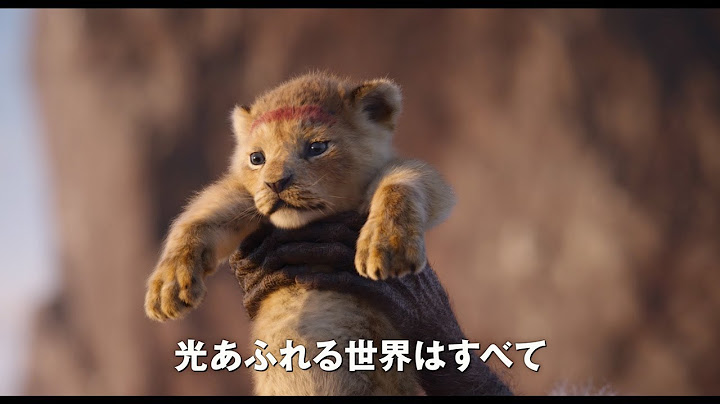 もふもふだ〜映画『ライオン・キング』日本版本予告