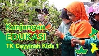 SERUNYA MEMETIK BUAH BLUEBERRY TK #Dayyinahkids 1 #Annamiroh