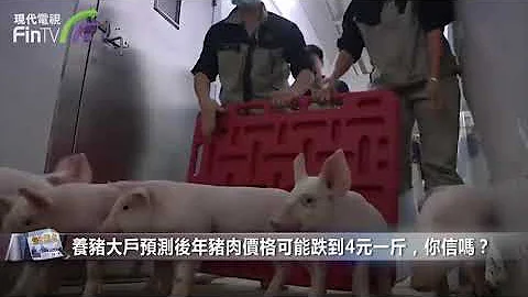 【财经速递】养猪大户预测后年猪肉价格可能跌到4元一斤，你信吗？ DF07 - 天天要闻