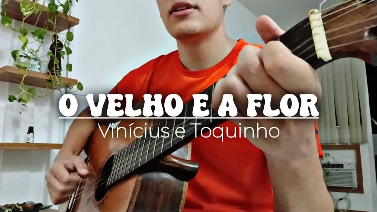 O Velho e a Flor - Vinícius de Moraes e Toquinho - Violão - YouTube