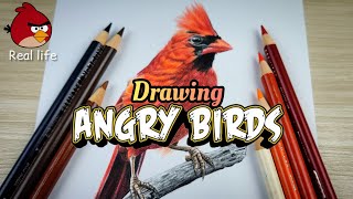 Realistic painting Angry bird real life  | Cardinal bird