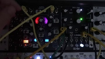 Qu-Bit Electronix NEBULAE V2 Quick Demo