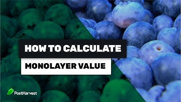BET Equation | Moisture Sorption Isotherm Modelling | How to calculate Monolayer value