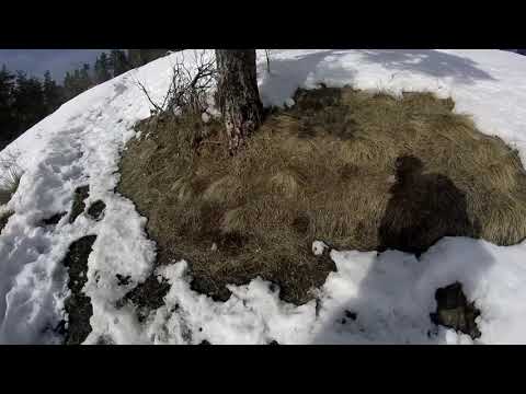 ბორჯომ-ხარაგაულის ეროვნული პარკი პანორამა