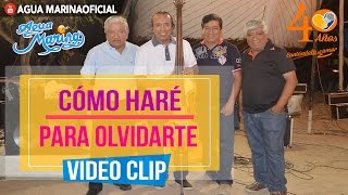 Agua Marina - Como Haré Para Olvidarte ( Video Oficial 2016 ) chords