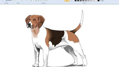 how to draw a dog in ms paint