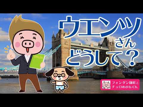 ウエンツ瑛士さんが留学・活動休止！？その裏にあるヒミツの事情とは・・？