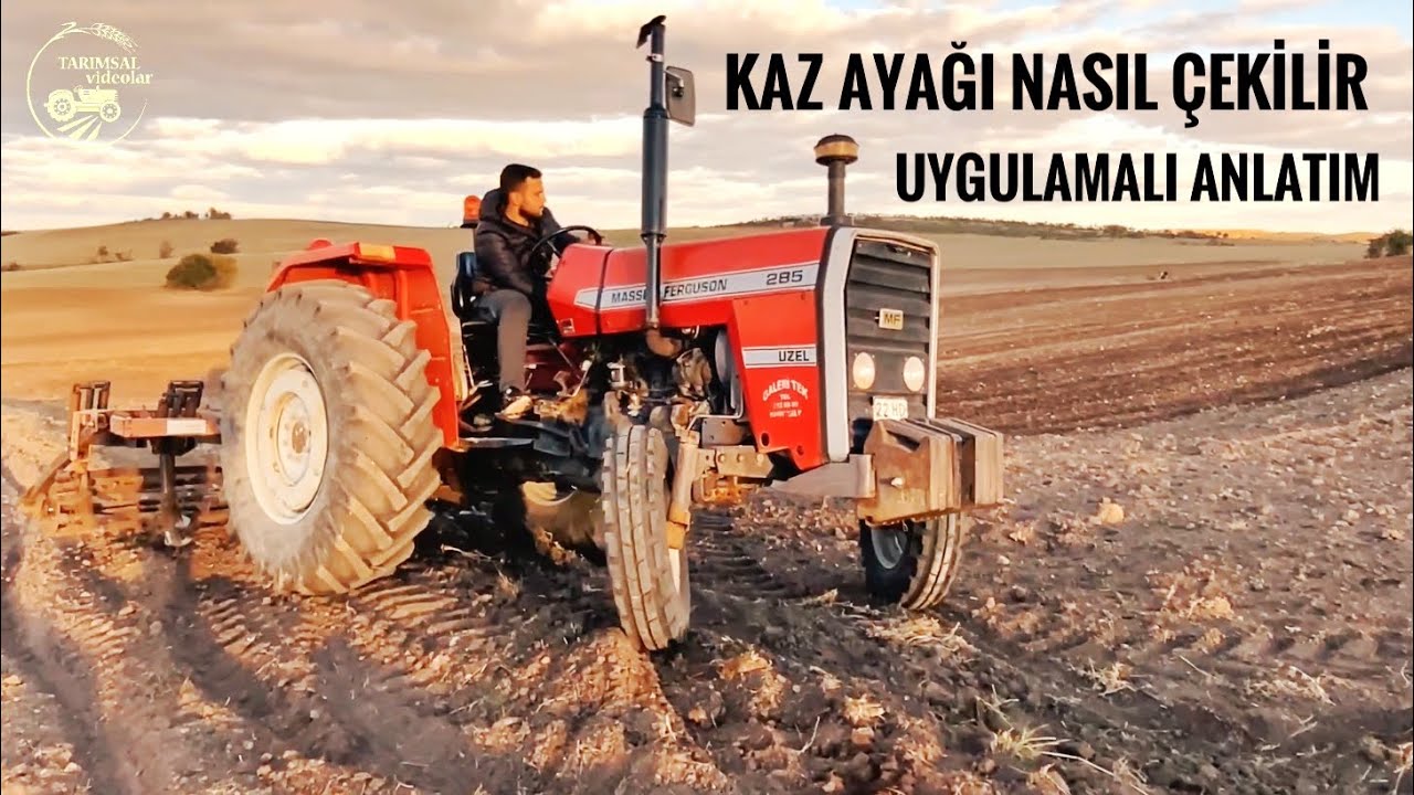 TARLAYA KAZAYAĞI NASIL ÇEKİLİR ? UYGULAMALI VE EN AÇIK , ANLAŞILABİLİR ŞEKİLDE ANLATIMI ! BÖLÜM 2