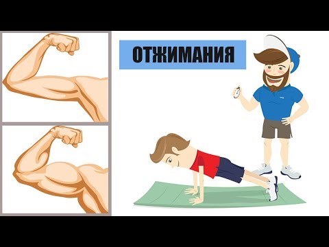 Вопрос: Как выполнить 1000 отжиманий?