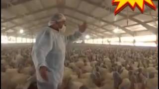 Siyasi Partilerin Secim Mitingleri