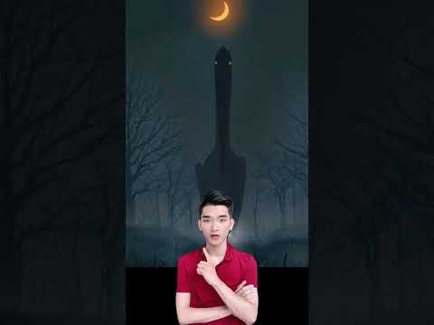 Video: Bóng của khủng long. 