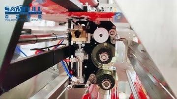 Rice 200g packing machine with multihead weigher