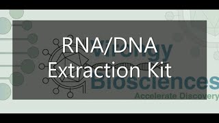 DNA / RNA Extraction Kit Protocol - Virongy DNA / RNA Extraction Kit Protocol - Virongy
