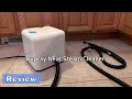 DUPRAY Neat Steam Cleaner Review - Is It Worth It?