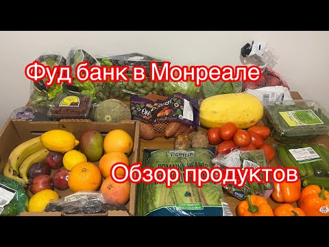 Видео: Лучшая еда в Монреале