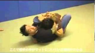 Eddie Bravo Rubber Guard Basics