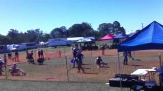 Pine Rivers show
