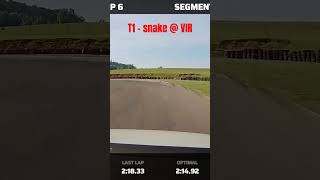 T1 - Snake Vir