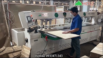 MÁY KHOAN CAM CNC 2 ĐẦU TRỤC Z LÊN XUỐNG KHOAN, LẮC NHIỀU KIỂU CNC-2500B2Z