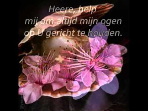 Beste Promise to behave better, Beterschap vrouw paars - YouTube TL-83