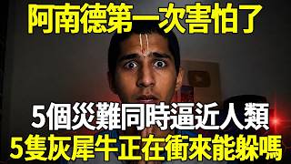 阿南德第一次害怕了…2026到底會發生什麼？5個災難同時逼近人類？5隻灰犀牛正在衝來…2026人類能躲嗎？