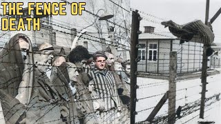 The Fence Of Death - WWII's Most BRUTAL Execution Method?