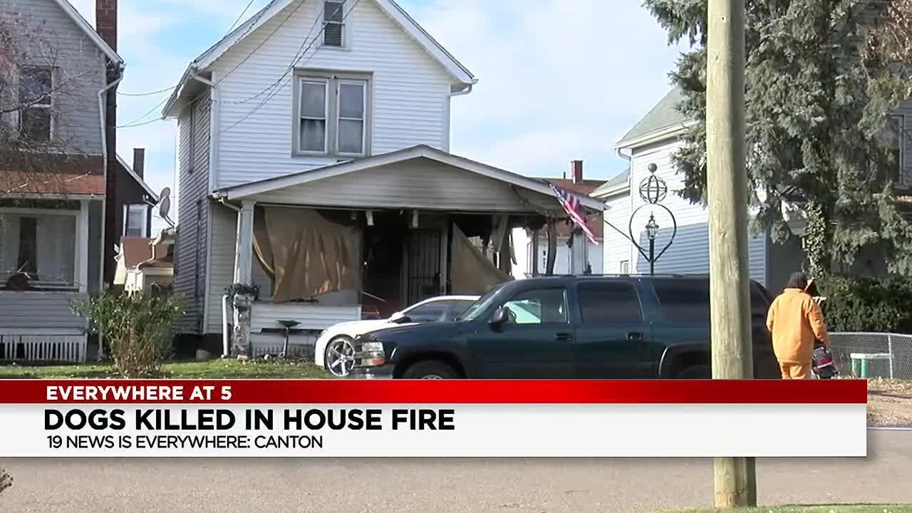 Extension cords cause fire which killed several dogs in Canton ...