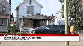 Extension cords cause fire which killed several dogs in Canton, firefighters say