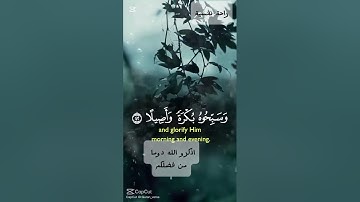 لا تنس ذكر الله من فضلك...أرح قلبك❤️💕 تلاوة أسطورية #القرآن_الكريم #المصحف #اكسبلور #edit #لايك#ترند