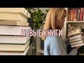 импульсивные книжные покупки | Дёблин, Митчелл, Беньямин, Зебальд и другие🤎🍪