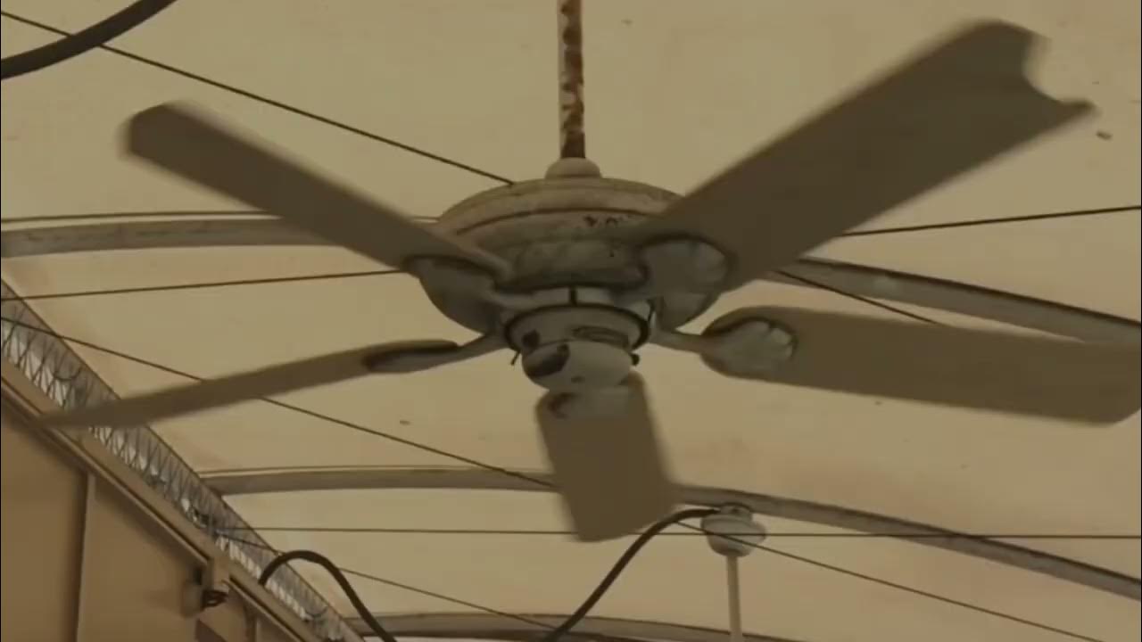 53” Casablanca Lanai ceiling fans wobble contest… YouTube