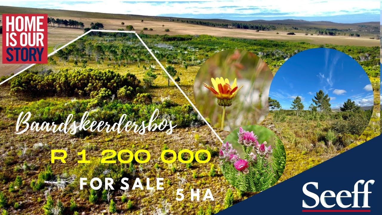 Perfect lifestyle farm opportunity. YouTube