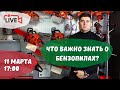 Все, что нужно знать о бензопилах: выбор оборудования, работа двигателя, правильная эксплуатация