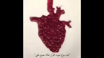 الا بذكر الله تطمئن القلوب  | تلاوة مميزة للقارئ اسلام صبحي