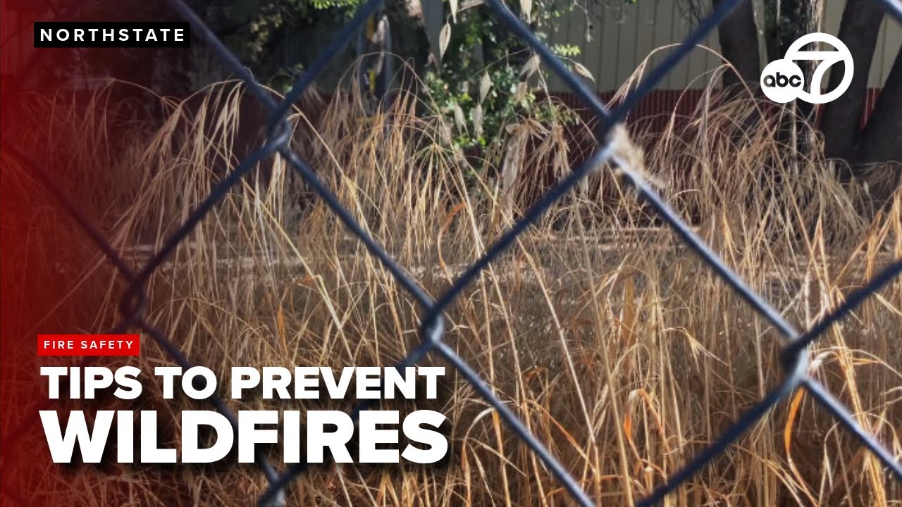 Fire industry expert shares wildfire mitigation tips for upcoming fall and winter seasons