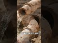 This City Was More Advanced Than Today | #mohinjodaro #LostCities #AncientCivilization