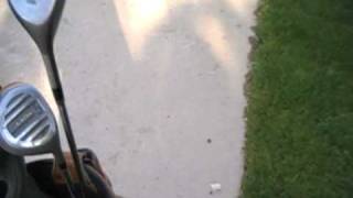 Golf Clubs and Bags 2 sets For sale on craigs list