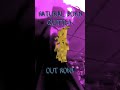 New music video for 'Natural Born Quitter' by SLOPE out now! 🔥🔥 #shorts #slope