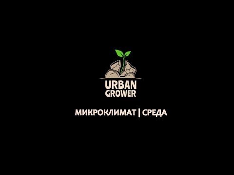 Video: Уруктардан кактустарды өстүрүү, микроклимат, сугаруу, жарык берүү, терип алуу - 1