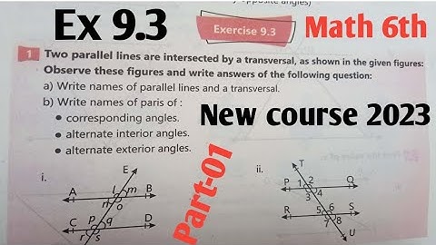Exercise 9.3 Class 6th Maths kpk and ptb New course 2023 Base on single national curriculum SNC