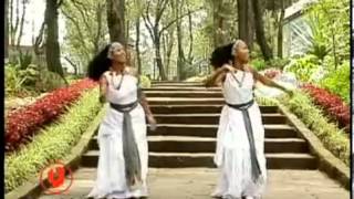 Halloo Daawwee   Obboleeysi (Oromo Music)