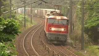 【EF81】【EF510】 北陸本線を走る貨物列車 2016年6月