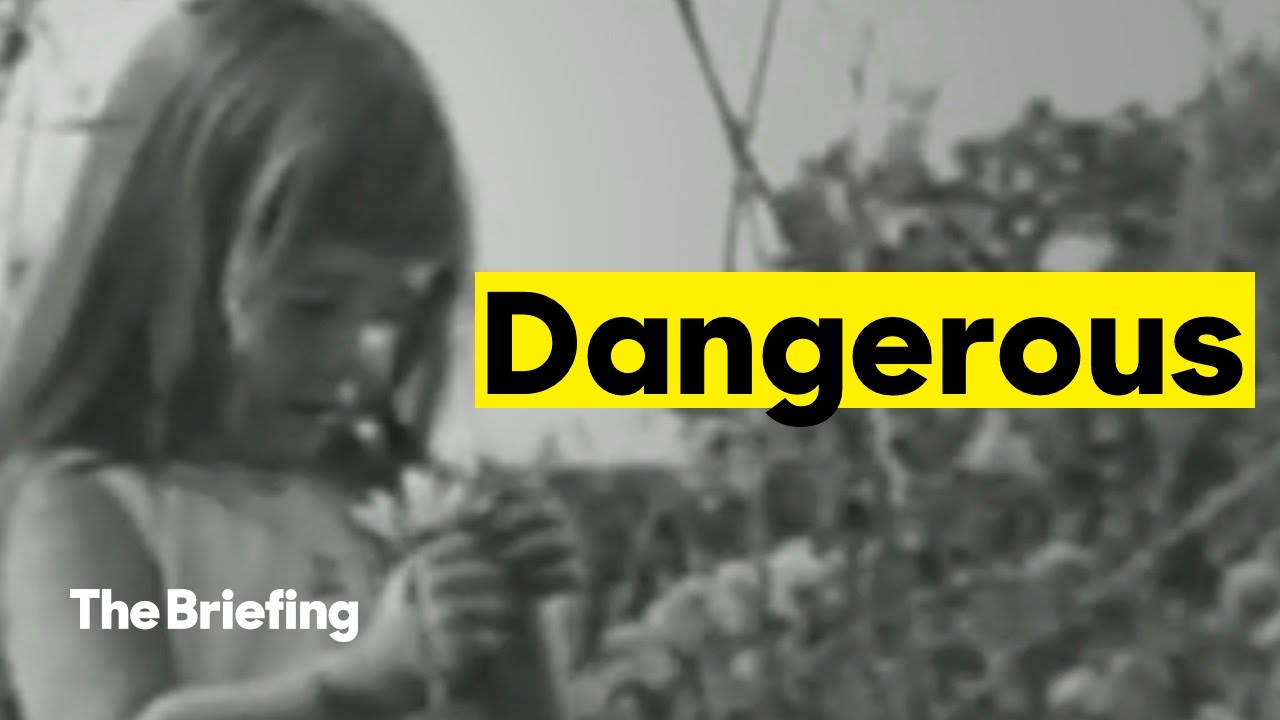 Hillary Clinton Enlists Star Of 1964 Daisy Ad To Question Trump