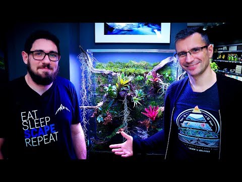 Planted Tank & Green Wall - NEW TREND? How to Build Your Own