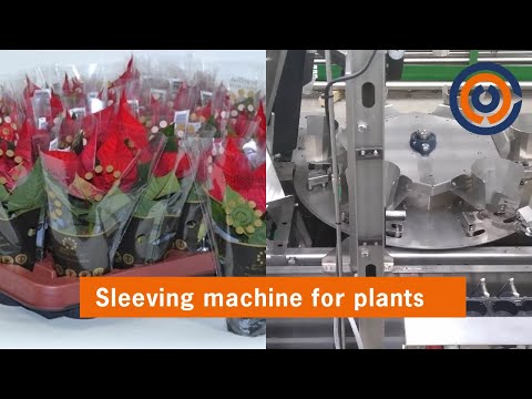 Miniatuur van productvideo