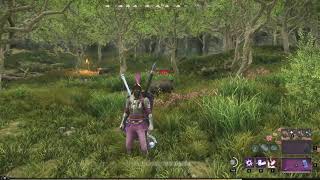 New World Raw Hide Farming Spot