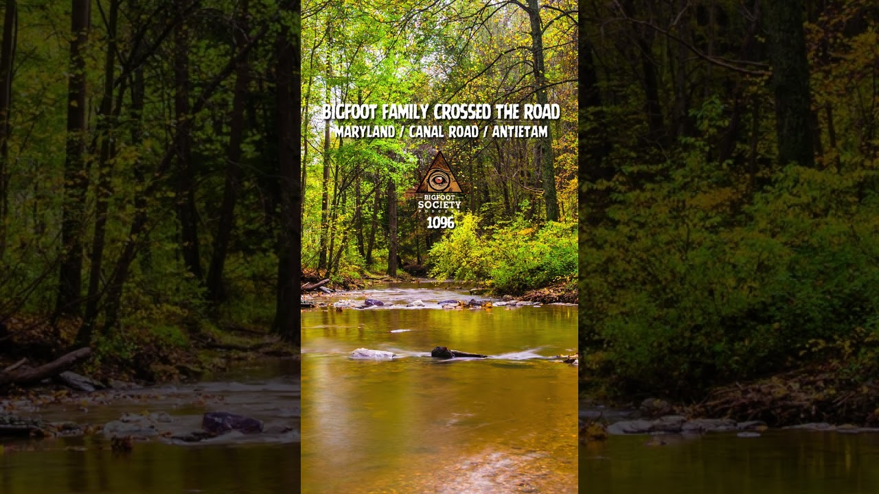 She spent decades camping the wilds of Maryland and West Virginia in Bigfoot territory