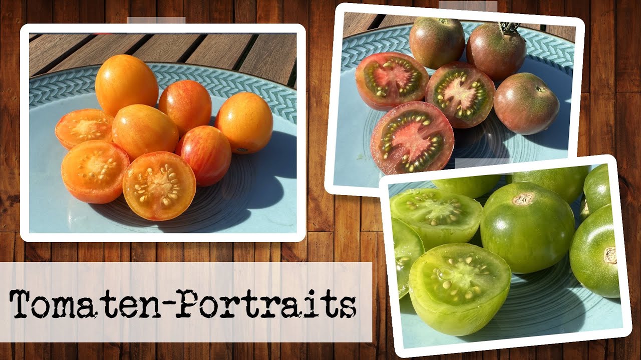 Tomaten-Portraits: Green Doctor's Frosted, Golden Bumble Bee, Black Cherry