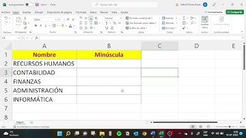 Excel: Función Minusc (Windows)