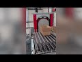 Sorting solutions for multilevel logistics warehouses the continuous vertical conveyor with sorter